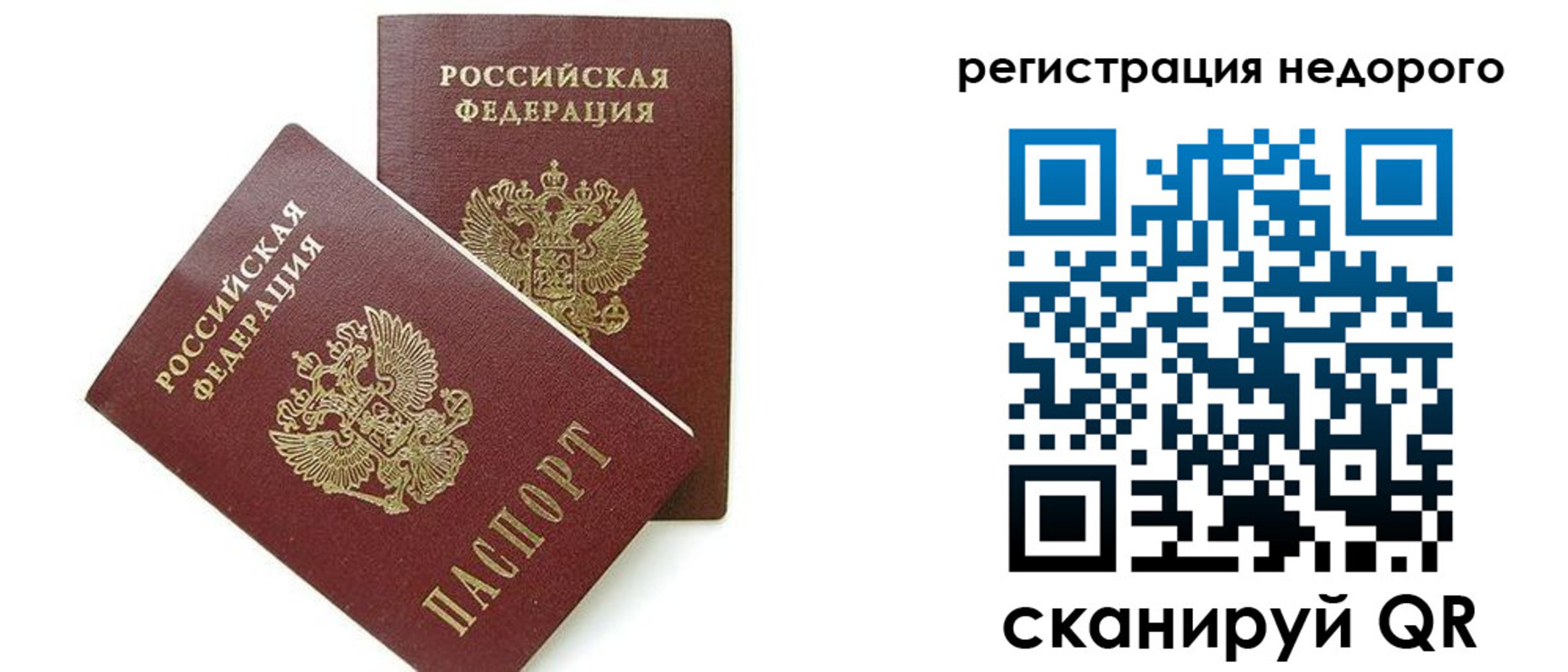 прописка в квартире в Купино