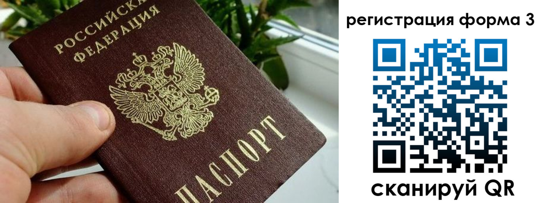 прописка штамп в Купино